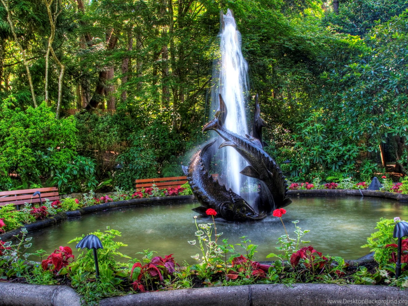 Garden Full HD Attractive Wallpapers Free HD Wallpapers Download