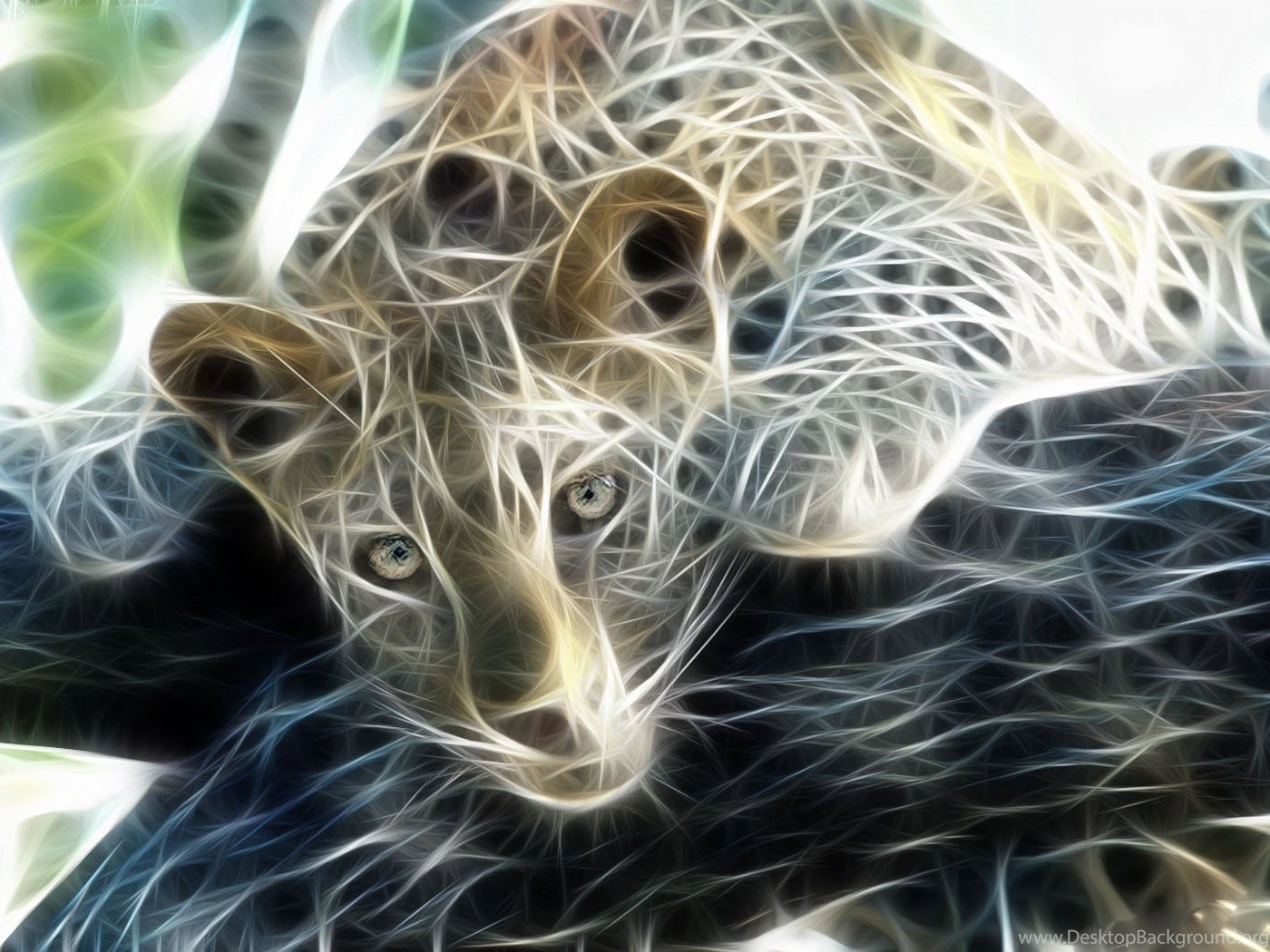 Snow Leopard Wallpapers Desktop Background