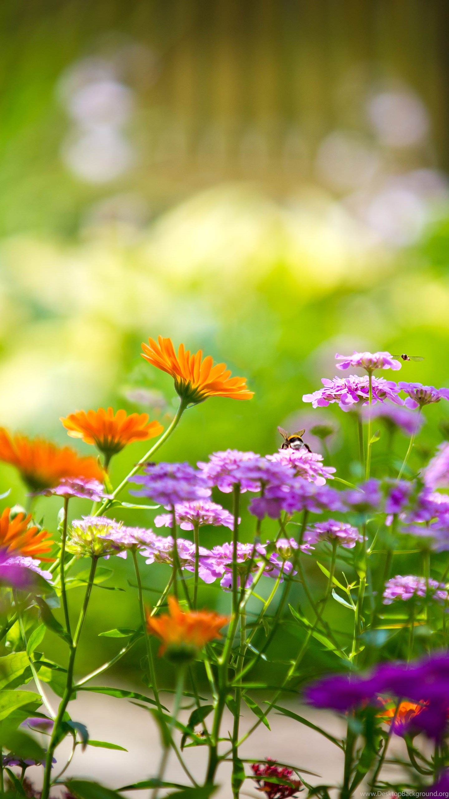 pretty nature backgrounds tumblr pretty nature backgrounds tumblr