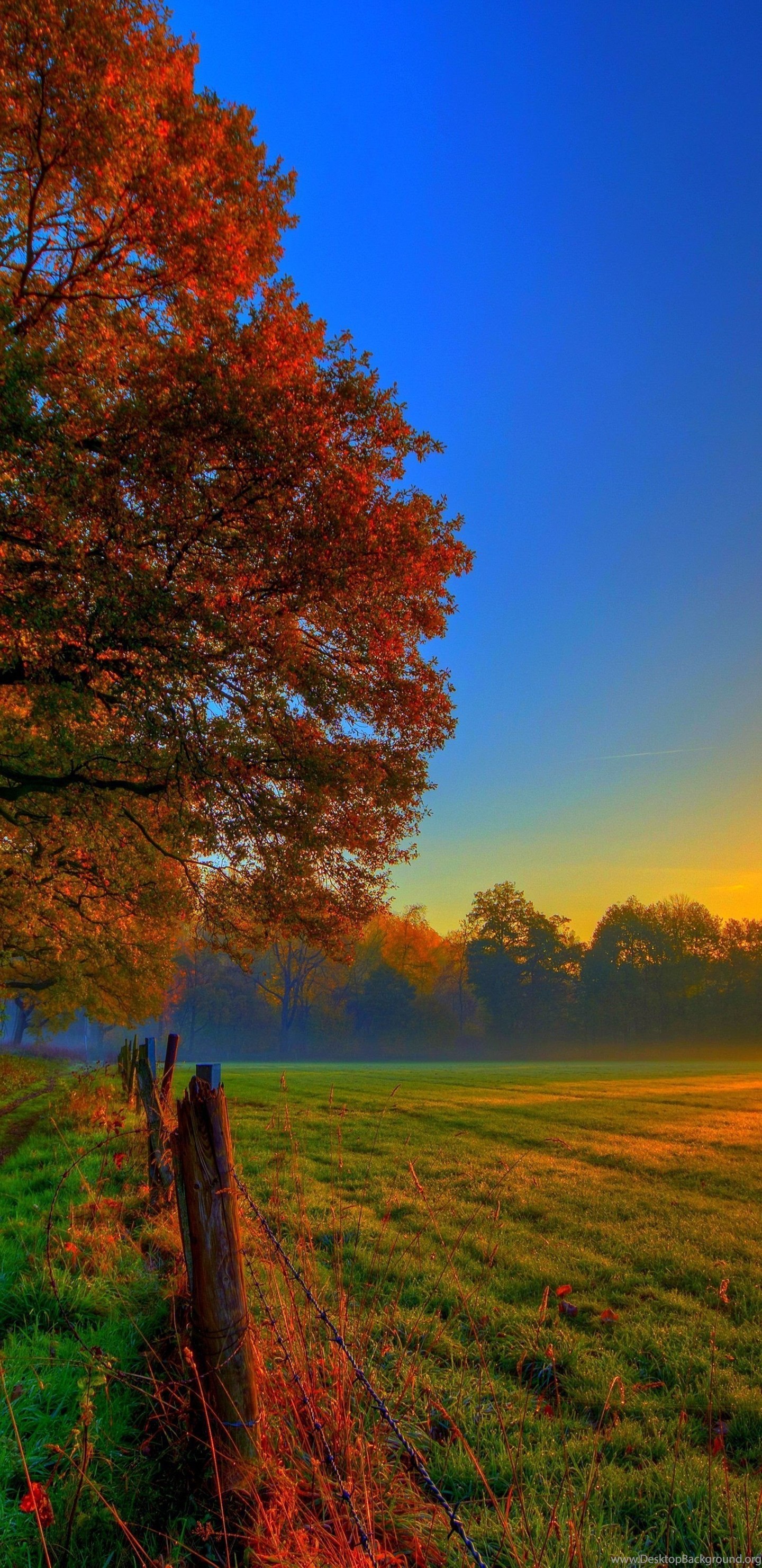 Autumn Wallpapers Hd High Definition Hapehatelo Com Desktop Background We hope you enjoy our growing. autumn wallpapers hd high definition