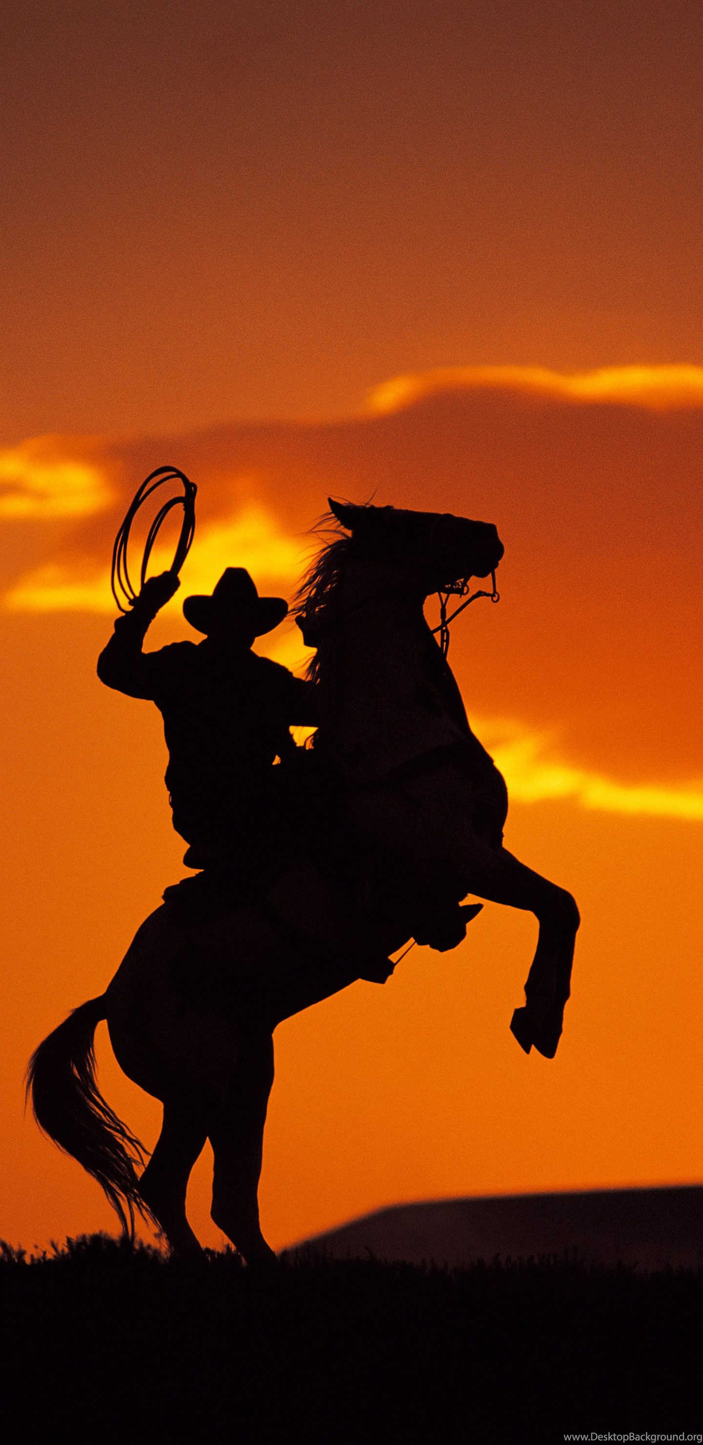 Country Cowboy With Sunset Backgrounds Bing Images Desktop Background