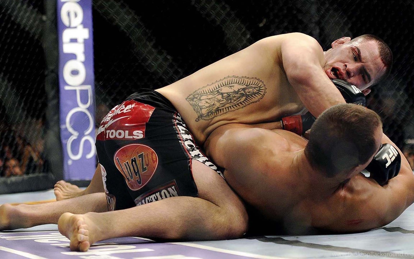 Cain Velasquez РѕР±РѕРё