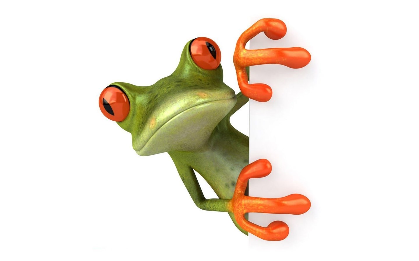 Frog Crazy Frog Crazy Frog Video Crazy Frog Videos Crazy Frog Desktop Background
