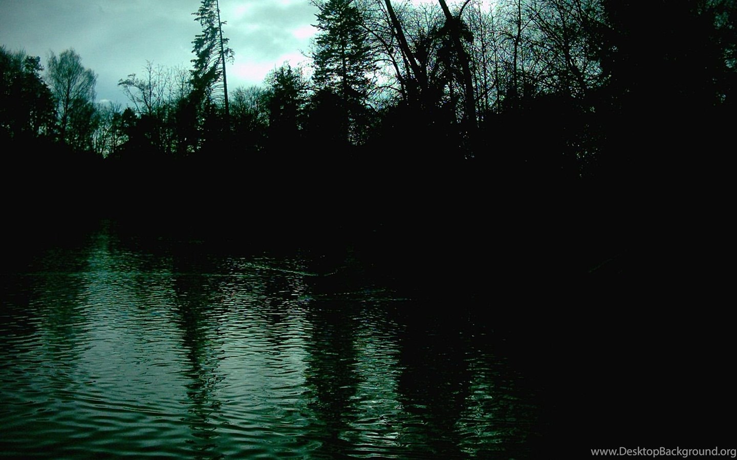 Болотные звуки. Темный лес. Темное озеро. Природа озеро темное. Живые обои темные.