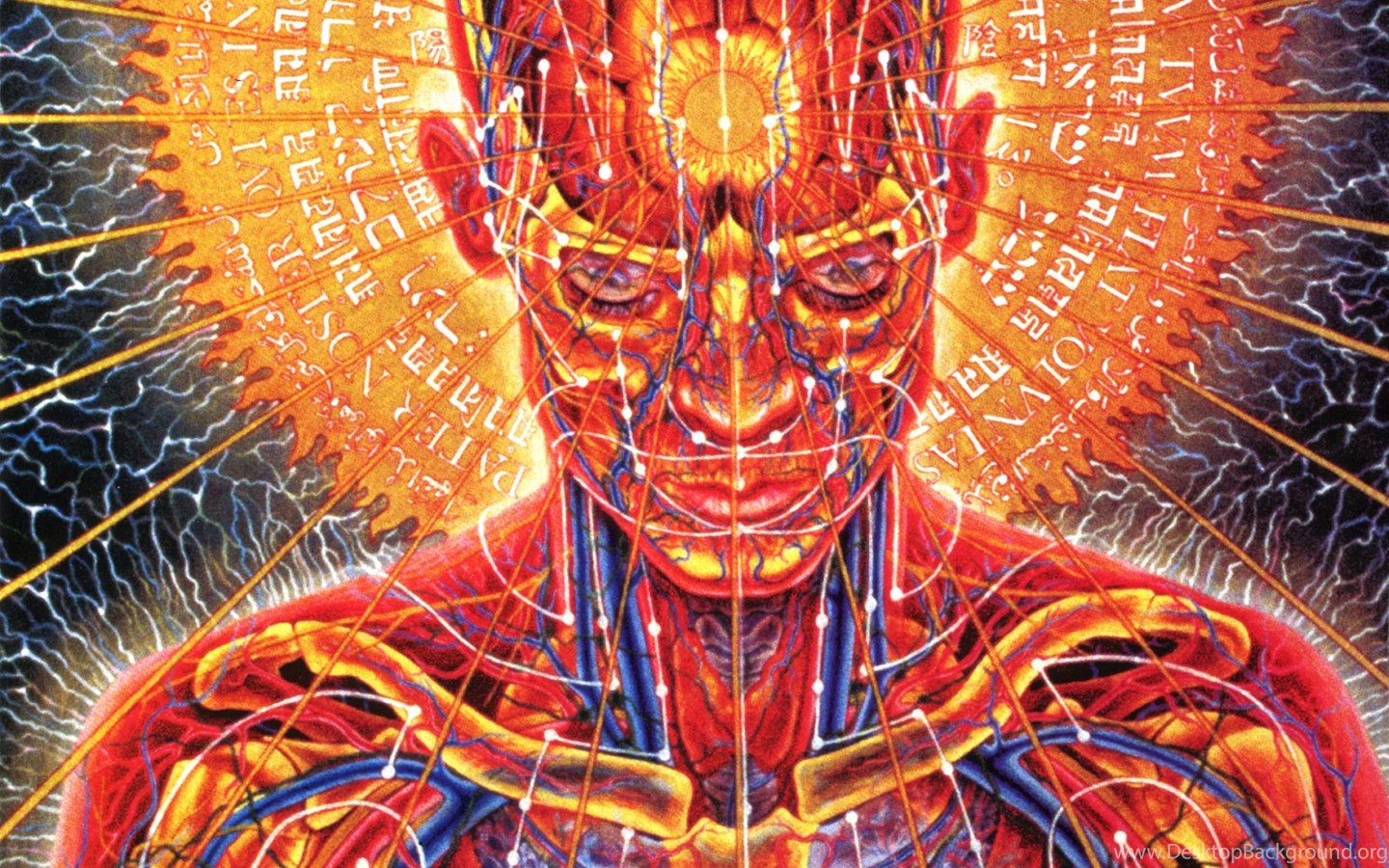 Tool Anatomy Psychedelic Third Eye Desktop Background
