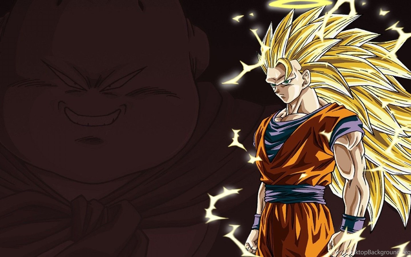 HD Super Saiyan 3 Goku Computer Wallpapers Full Size Desktop Background