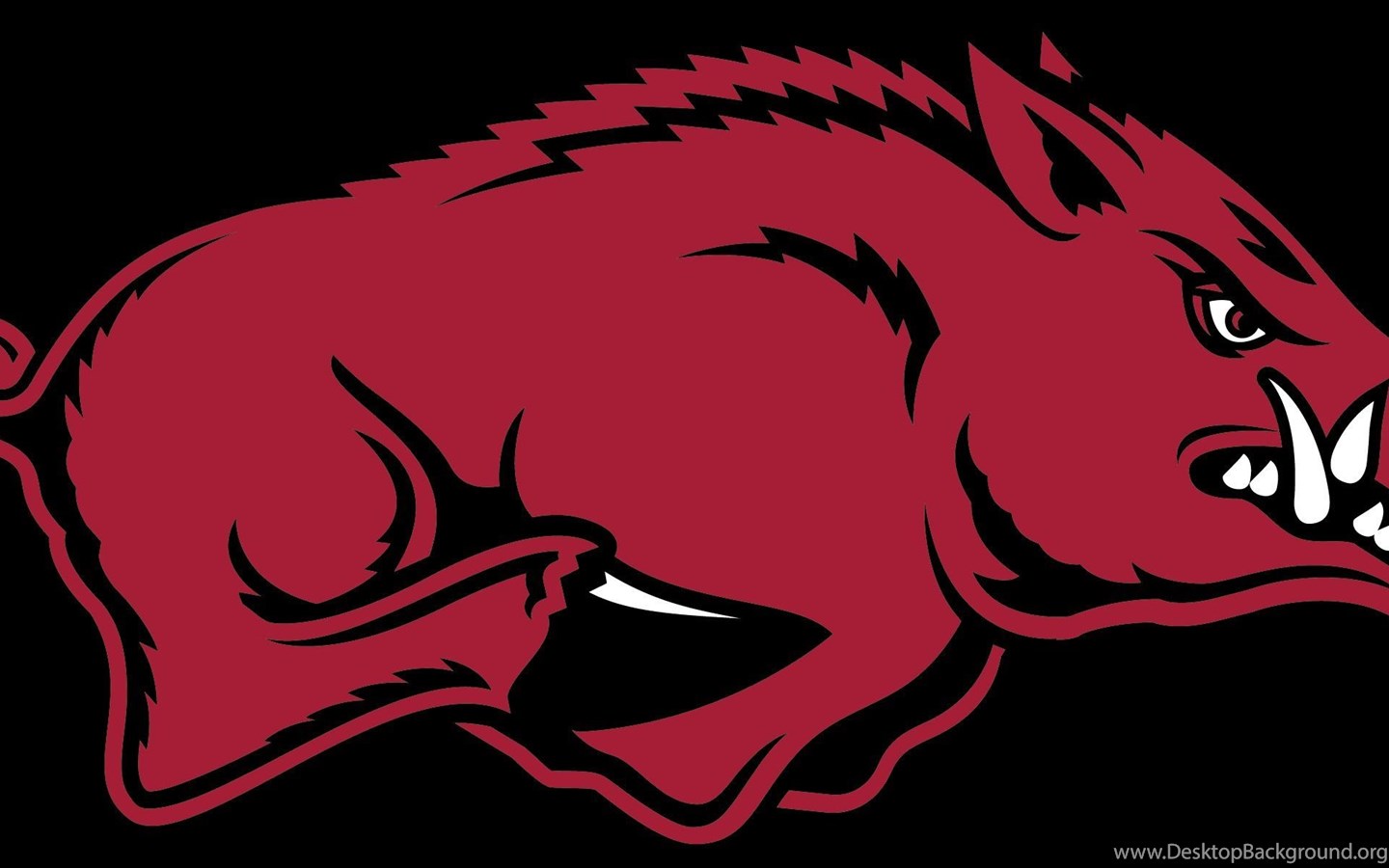 Arkansas Razorback Football Schedule Wallpaper Best Hd HD Wallpapers Download Free Map Images Wallpaper [wallpaper684.blogspot.com]