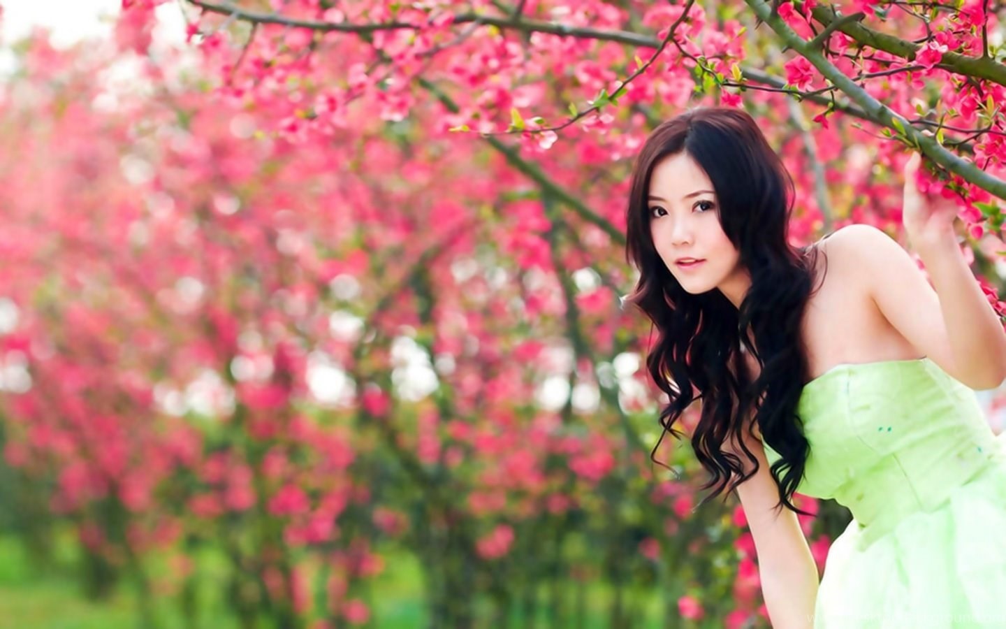 Корейские женщины. Натурал Бьюти герл. Korean girls natural. Beauty Zone Wallpaper. Charming woman