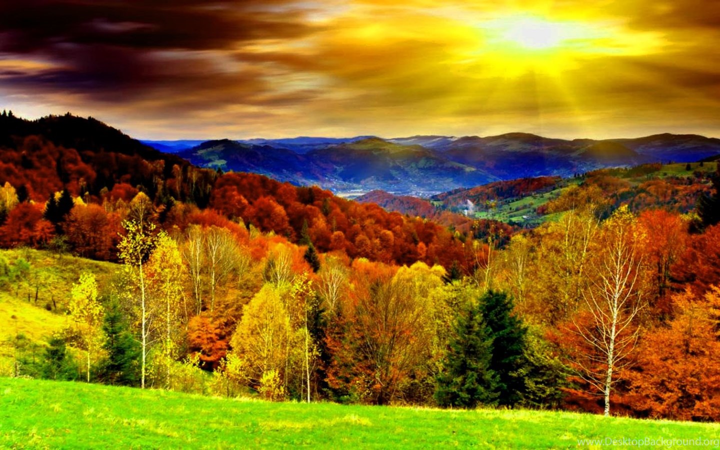 Fall Scenes For Desktop Backgrounds 1920×1200 High Definition 