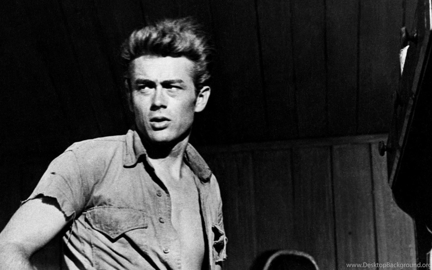 Fonds D Ecran James Dean Tous Les Wallpapers James Dean Desktop Background Fonds D Ecran James Dean Tous Les Wallpapers James Dean Desktop Background