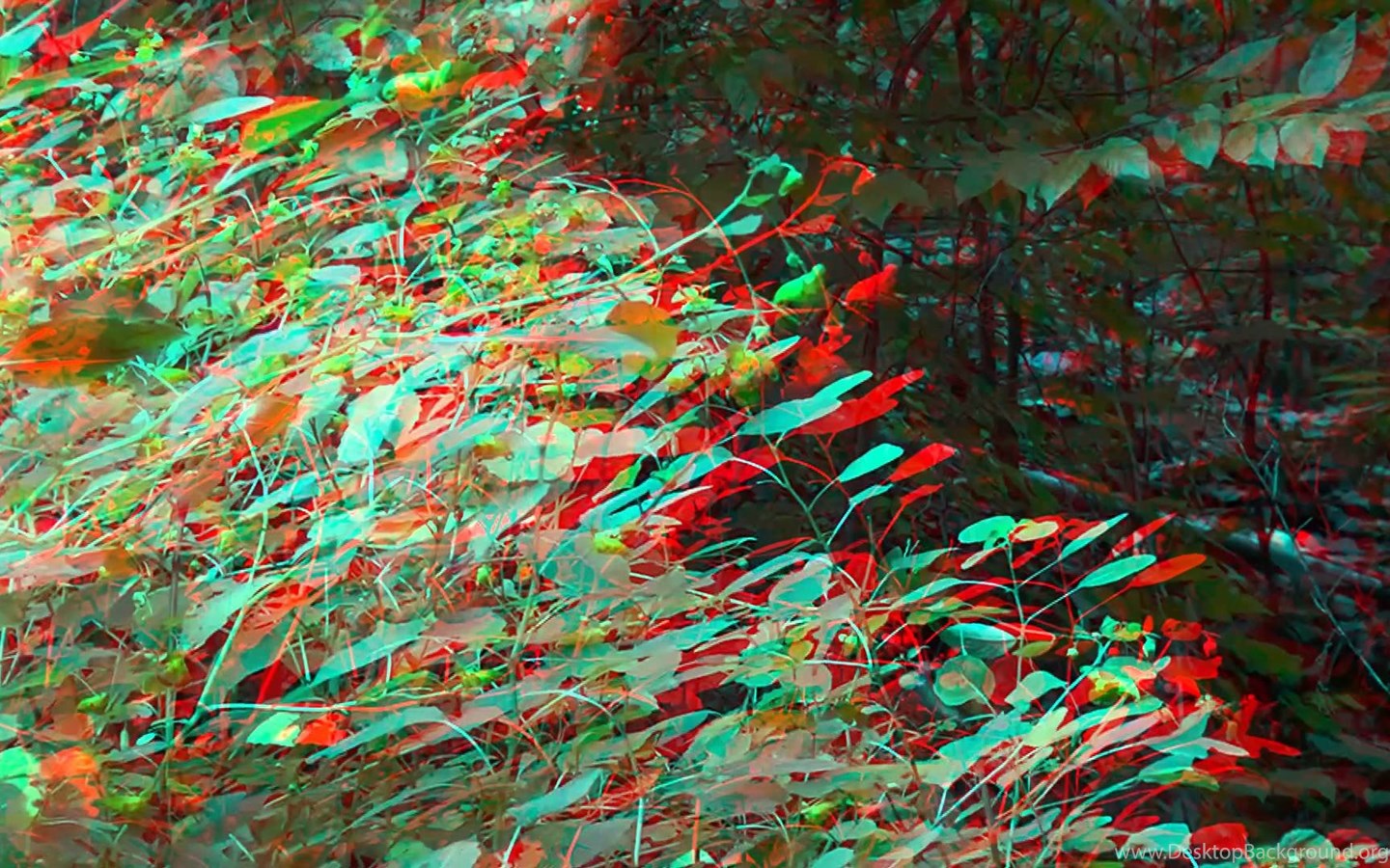 3d anaglyph Red/Cyan