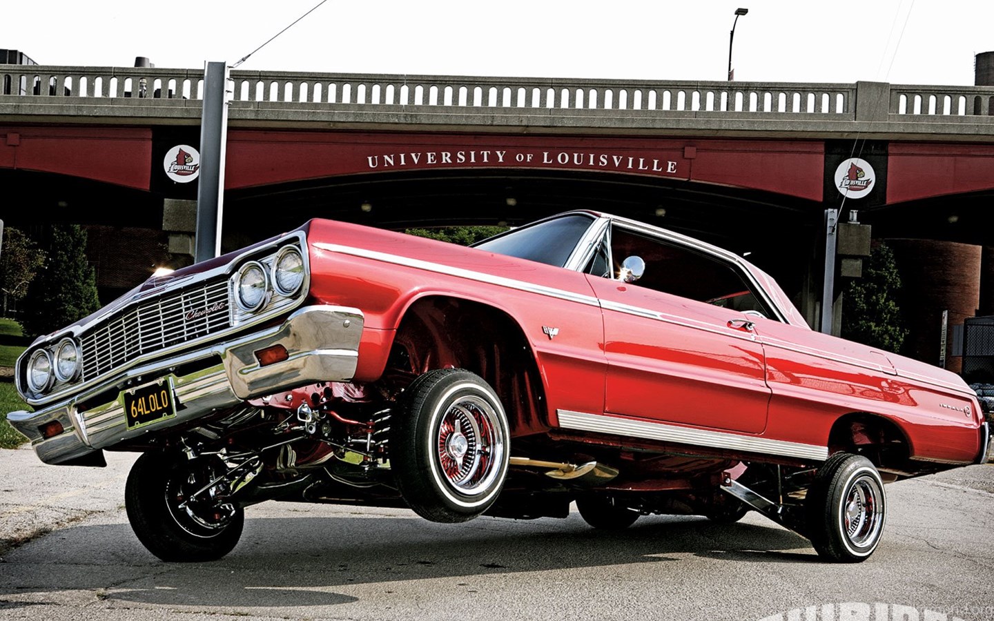 Download 1964 Chevrolet Impala Pit Bull Four Pump Set Up Lowrider Magazine ...