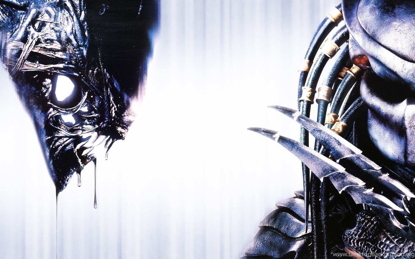 download predator xenomorph download predator xenomorph