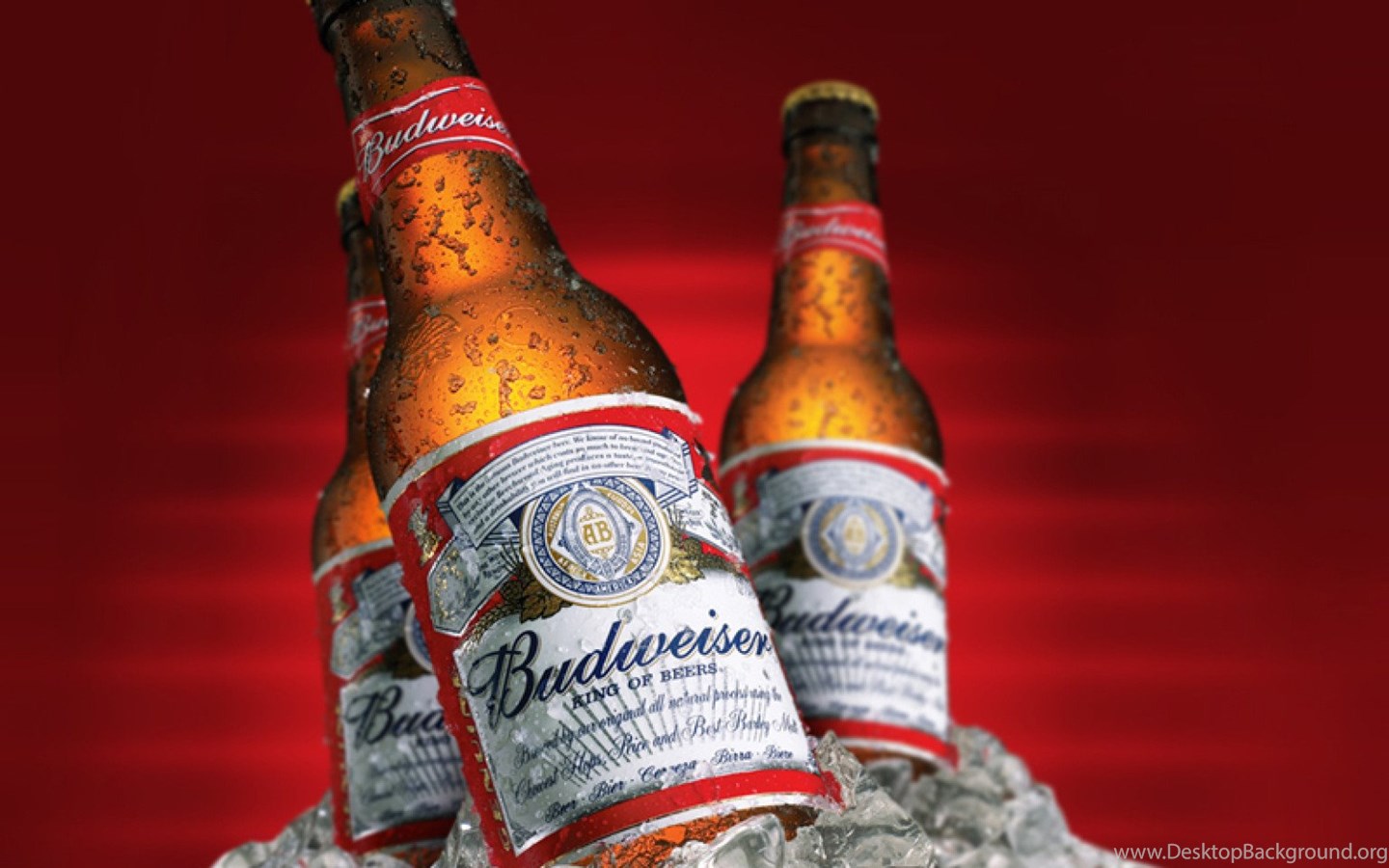 Пиво Budweiser Budvar Купить В Москве