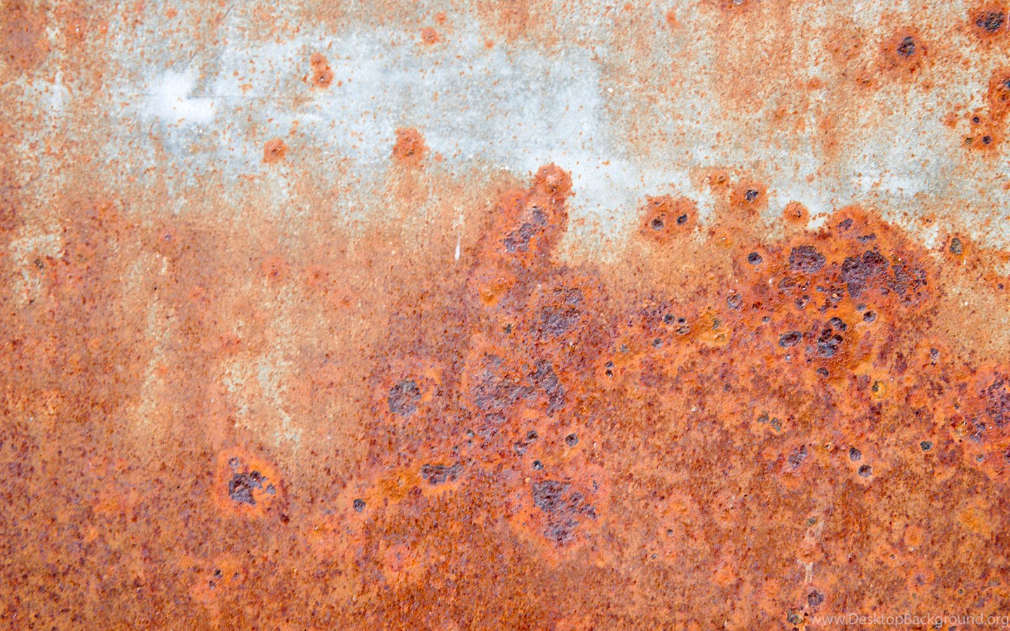 Red as rust фото 85