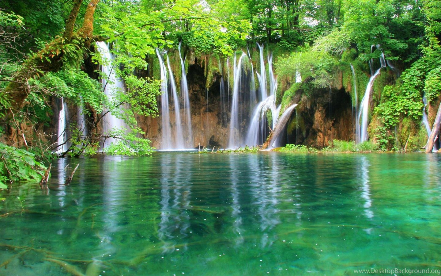 Jungle River HD Wallpapers & Backgrounds Nature HD Pics