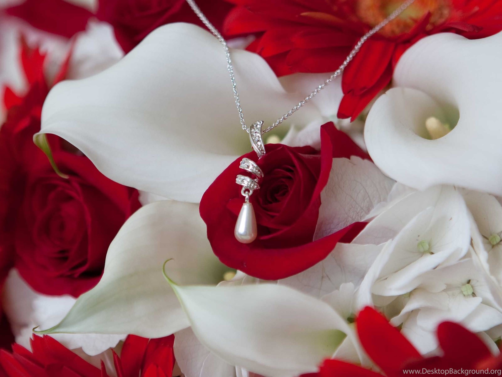 Гулла 4. Гулар Атургул. Чирайли Гулар. Цветы романтика. Розы красные и белые.