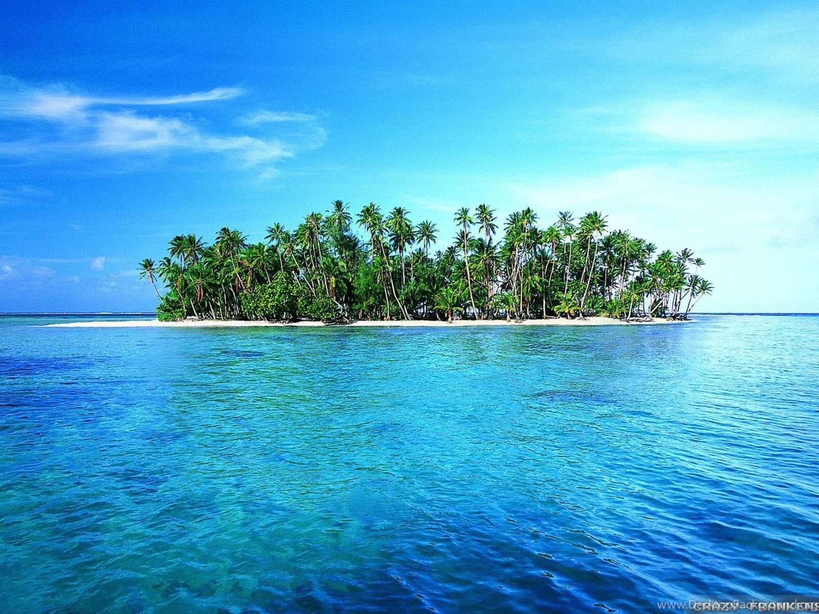 Www island. Острова и море. Остров в океане. Необитаемый тропический остров. Острова Тихого океана.