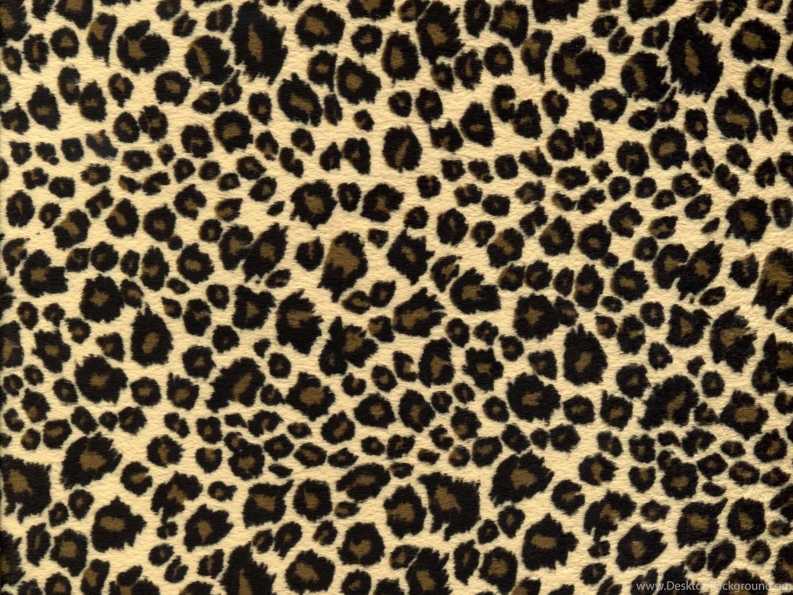 Download Leopard Print Wallpapers Best Car 2015 Fullscreen Standart 4:3 160...