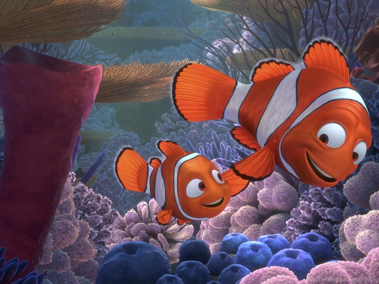 Download FINDING NEMO Animation Underwater Sea Ocean Tropical Fish ... 