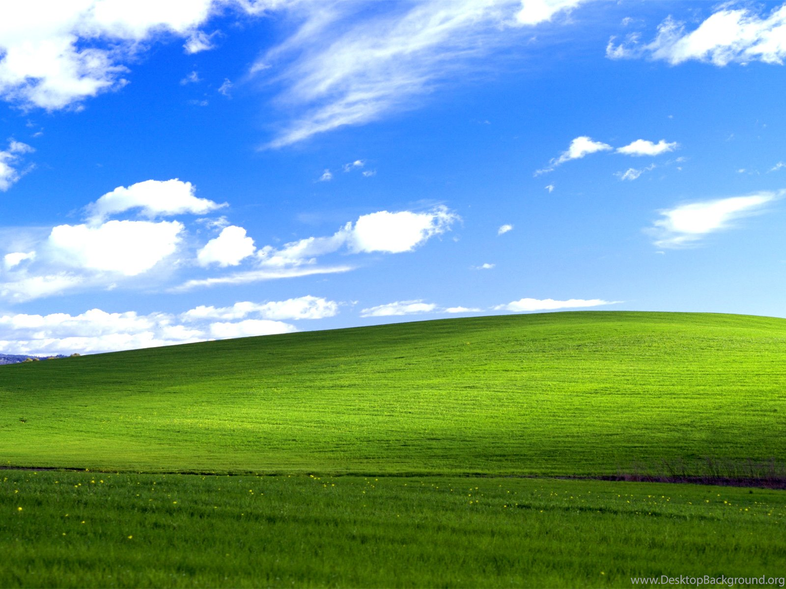 windows mobile file synchronization windows mobile file synchronization