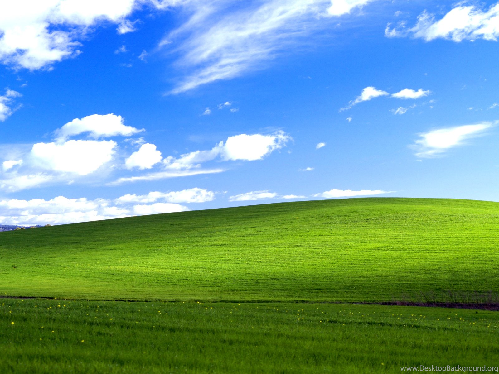 Nature, Landscape, Sky, Hill, Grass, Field, Clouds, Windows XP