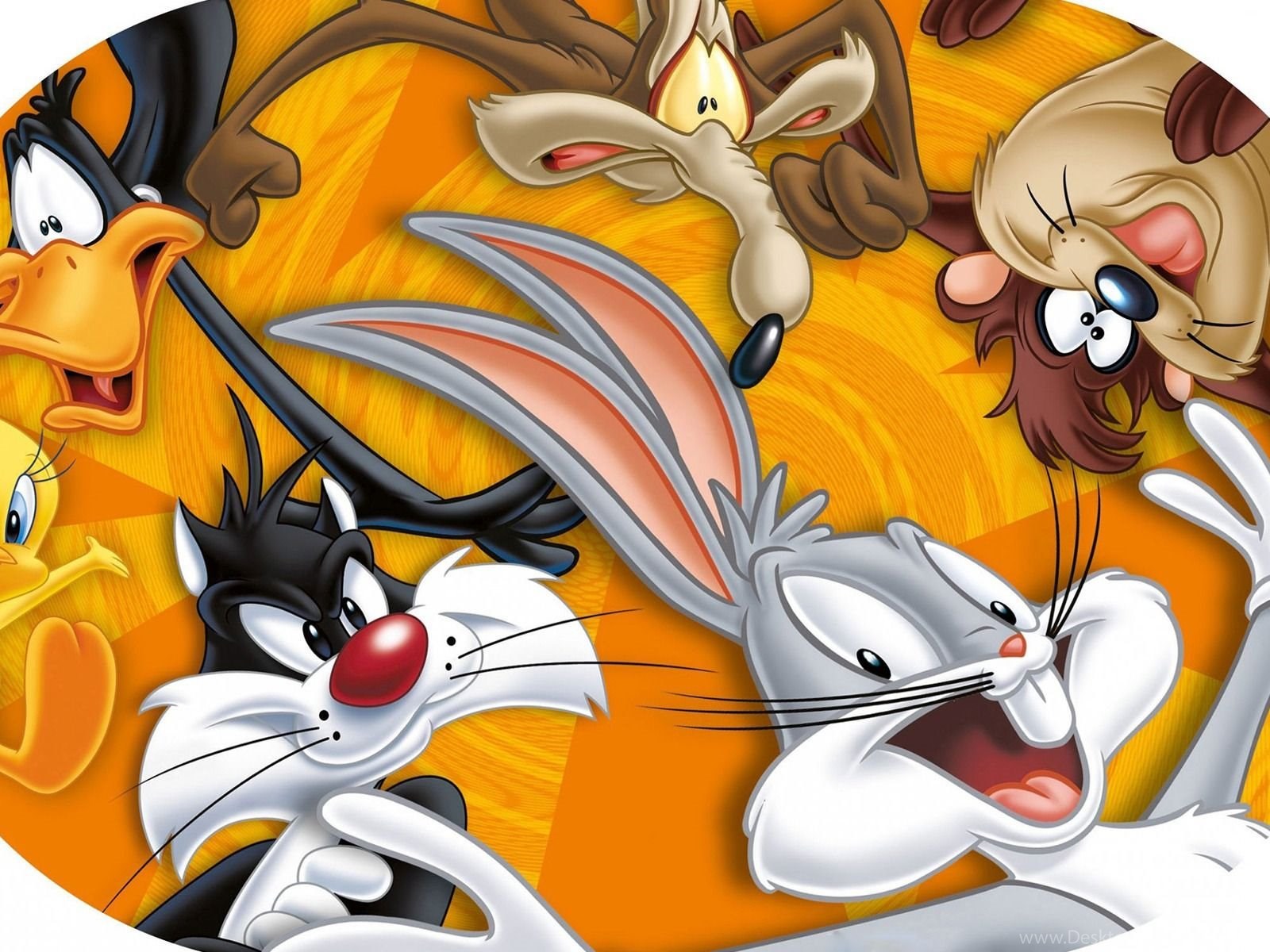 Download Looney Tunes Wallpapers Cartoon Wallpapers Fullscreen Standart 4:3...