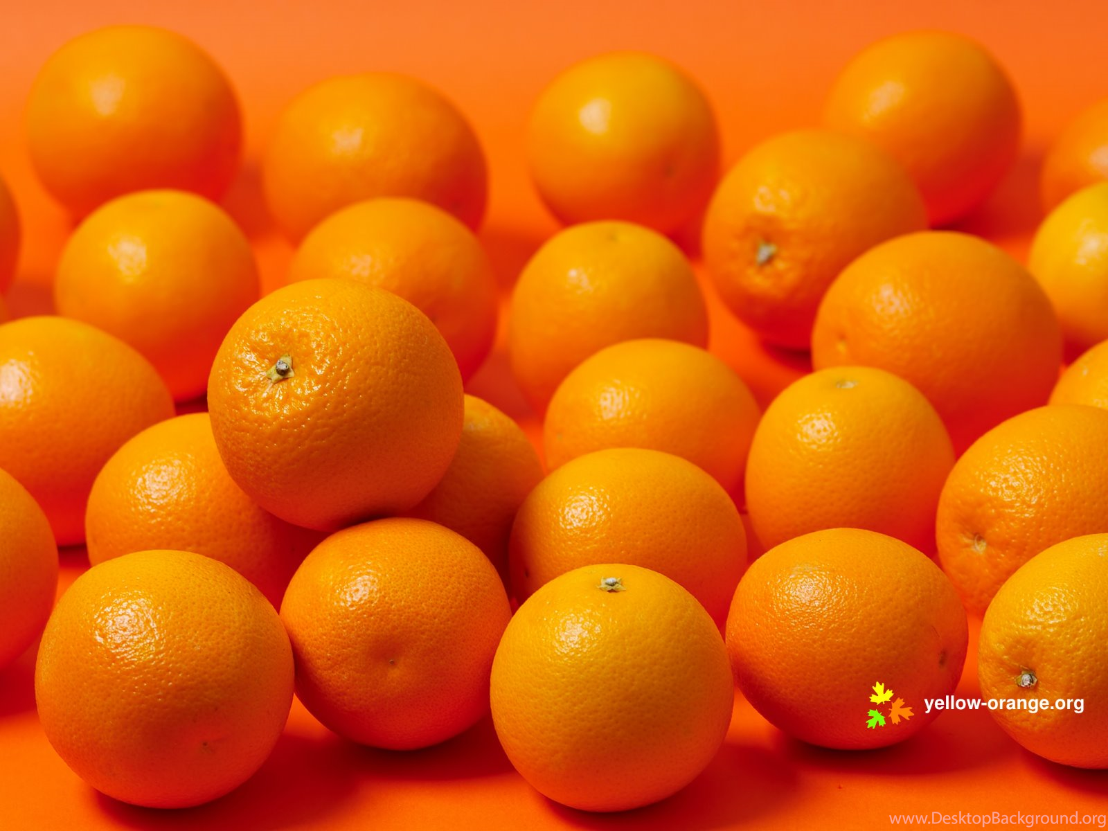 Yelow. Померанец цвета оранж. Апельсин. Цветотерапия оранжевый. Мандариновый цвет.