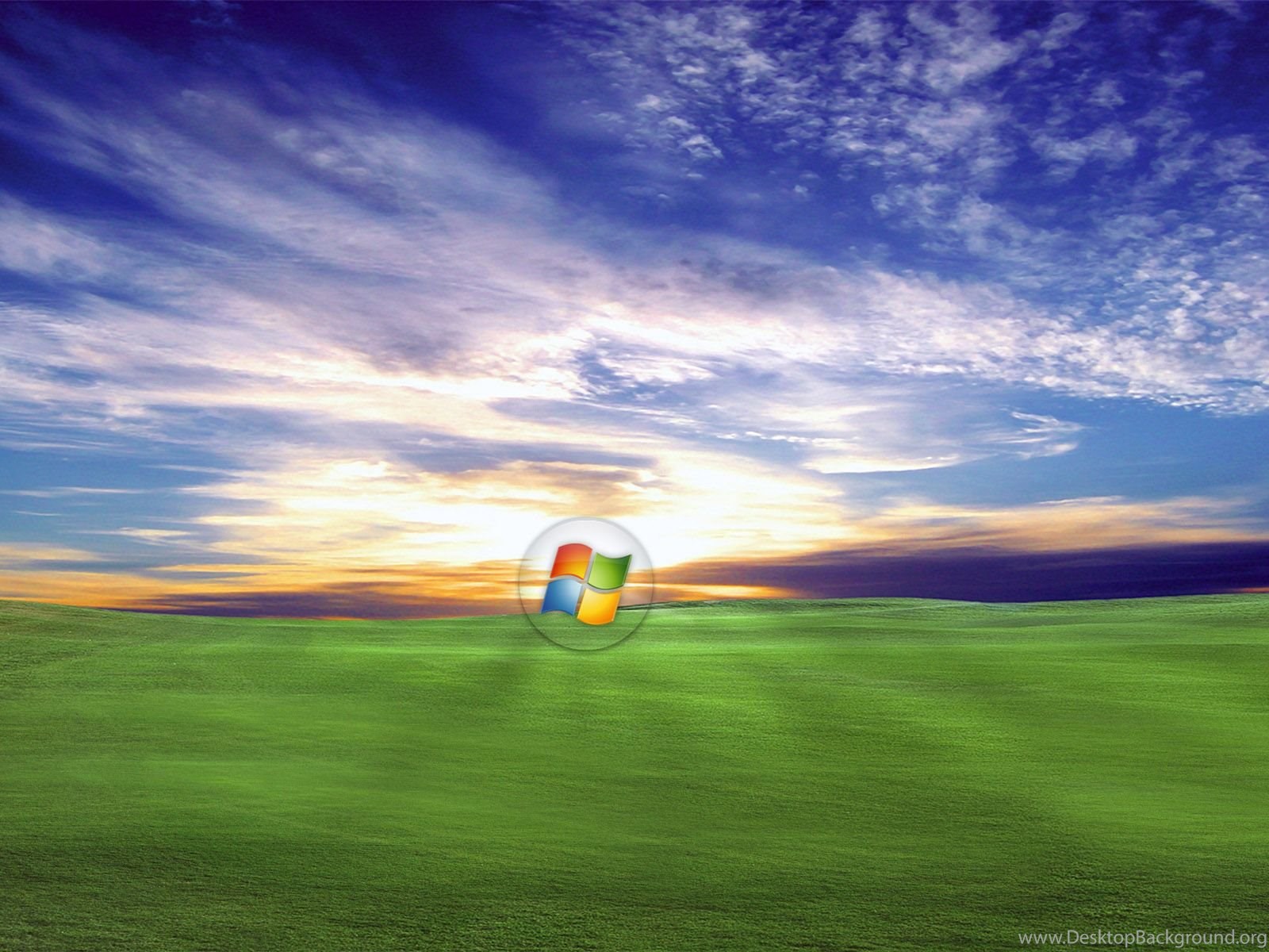 Windows xp бесплатная