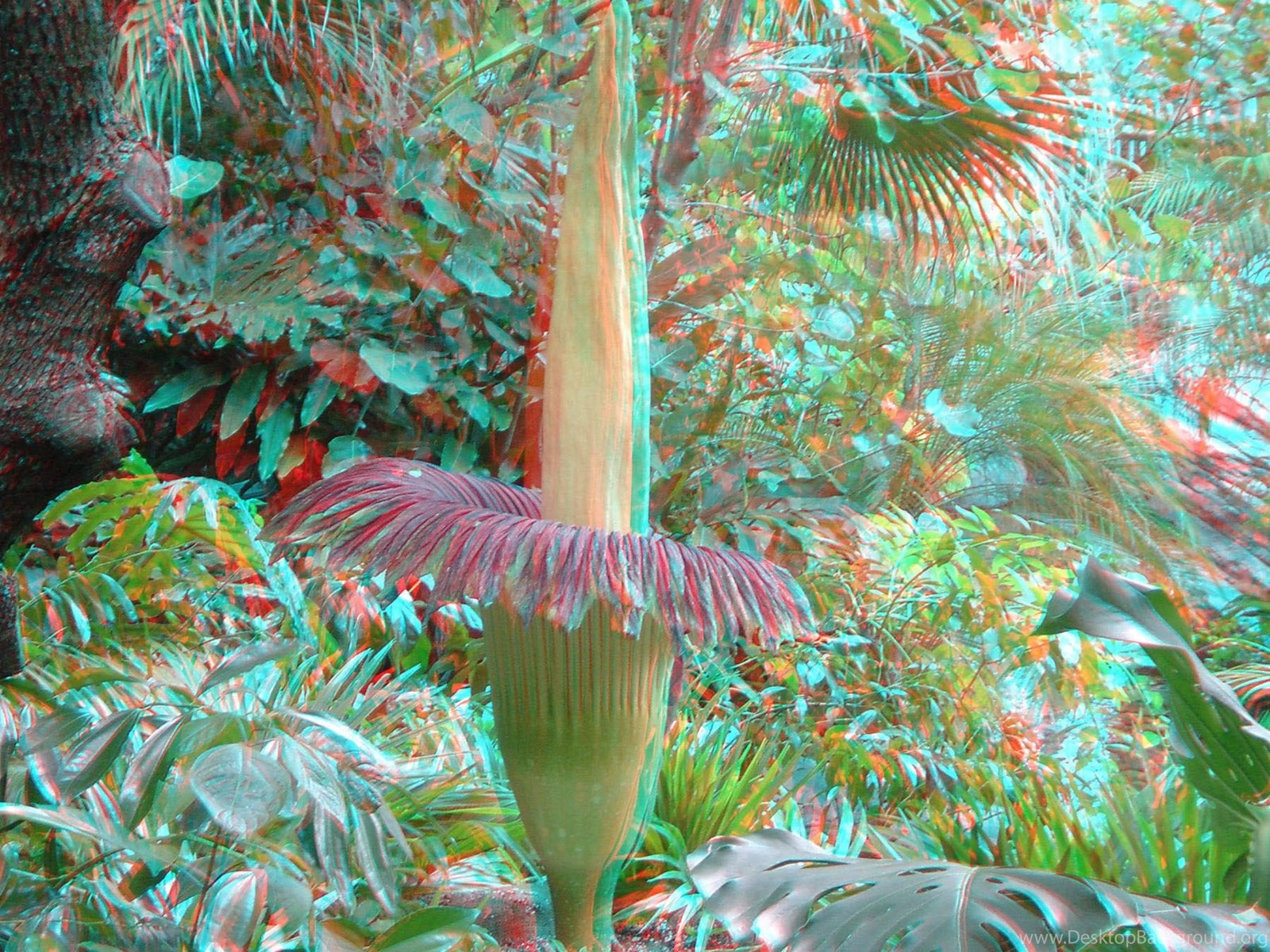 3d фото