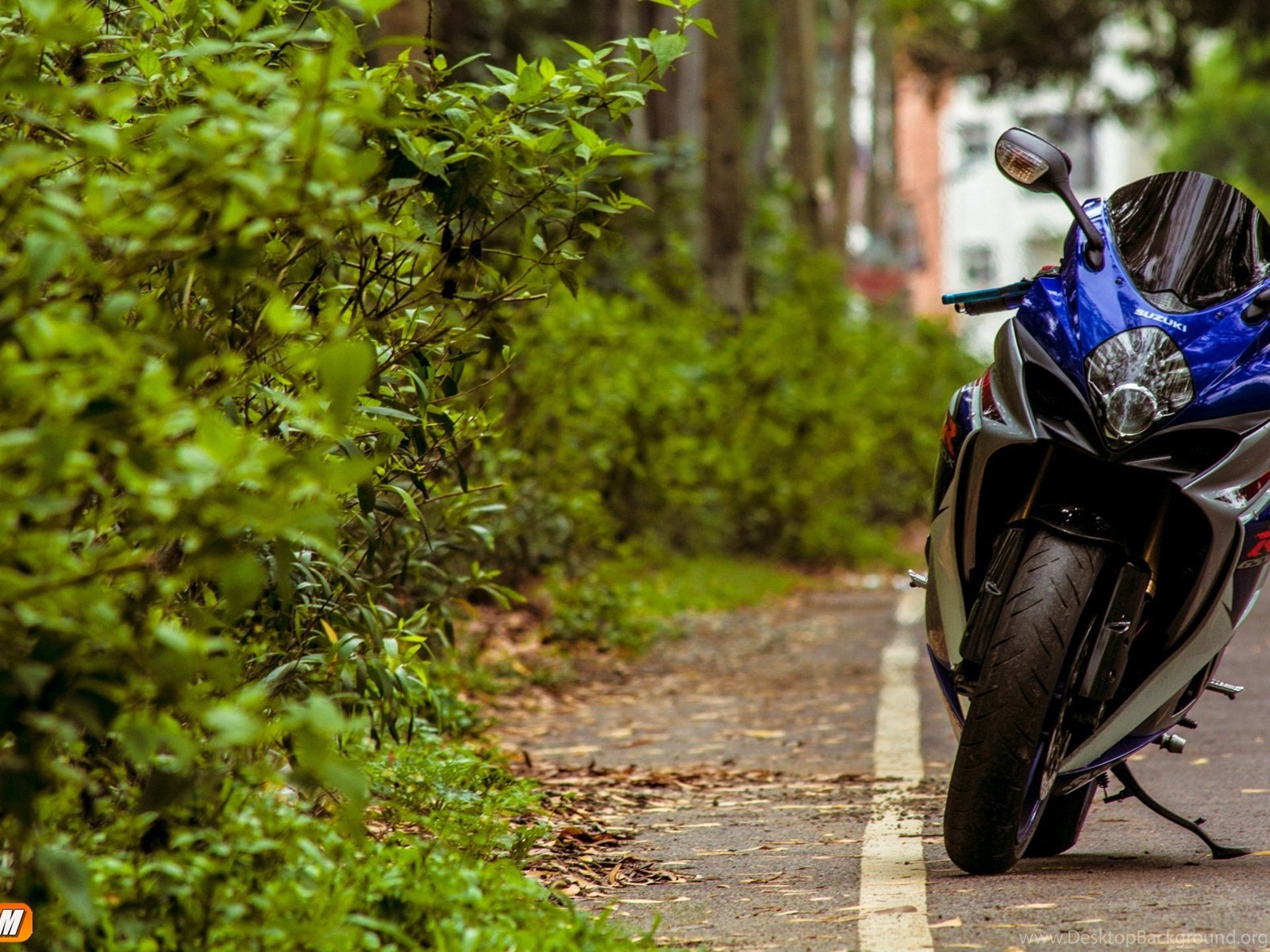 Suzuki GSXR 750 РѕР±РѕРё