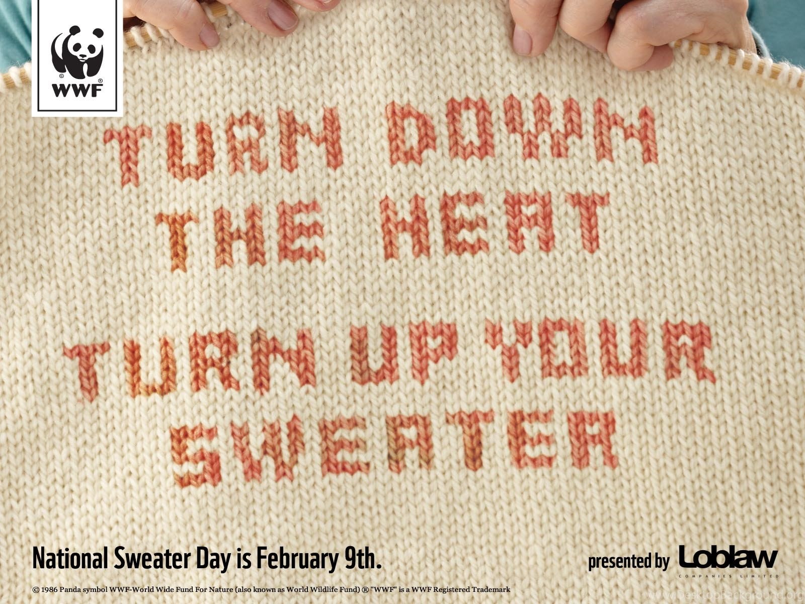 The nature is also. Высказывание про свитер. National Day 9 February. Turn down the Heat and put on the Sweater. Warm Sweater Day.