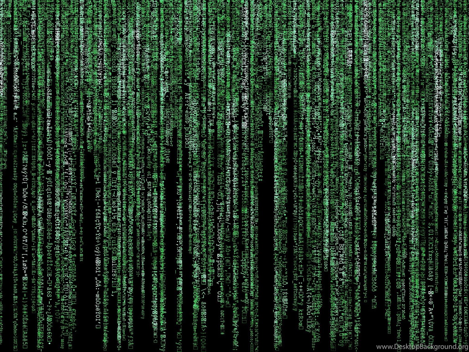 Text Fake Matrix Wallpapers Desktop Background