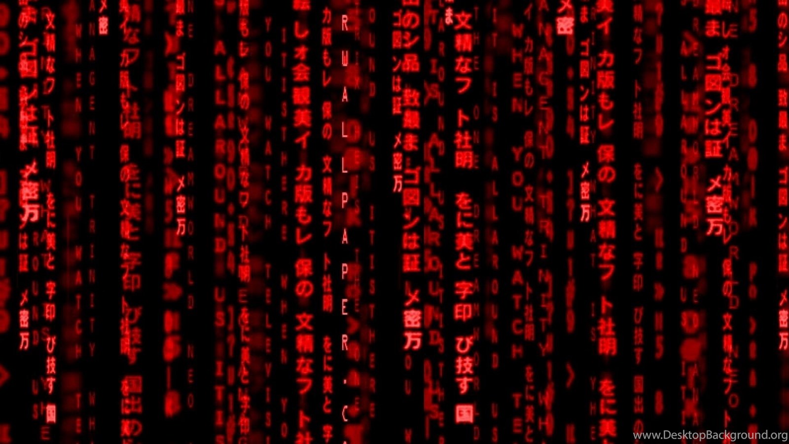 Red Hd Wallpapers Tags Code Red Matrix Description Red Matrix Code