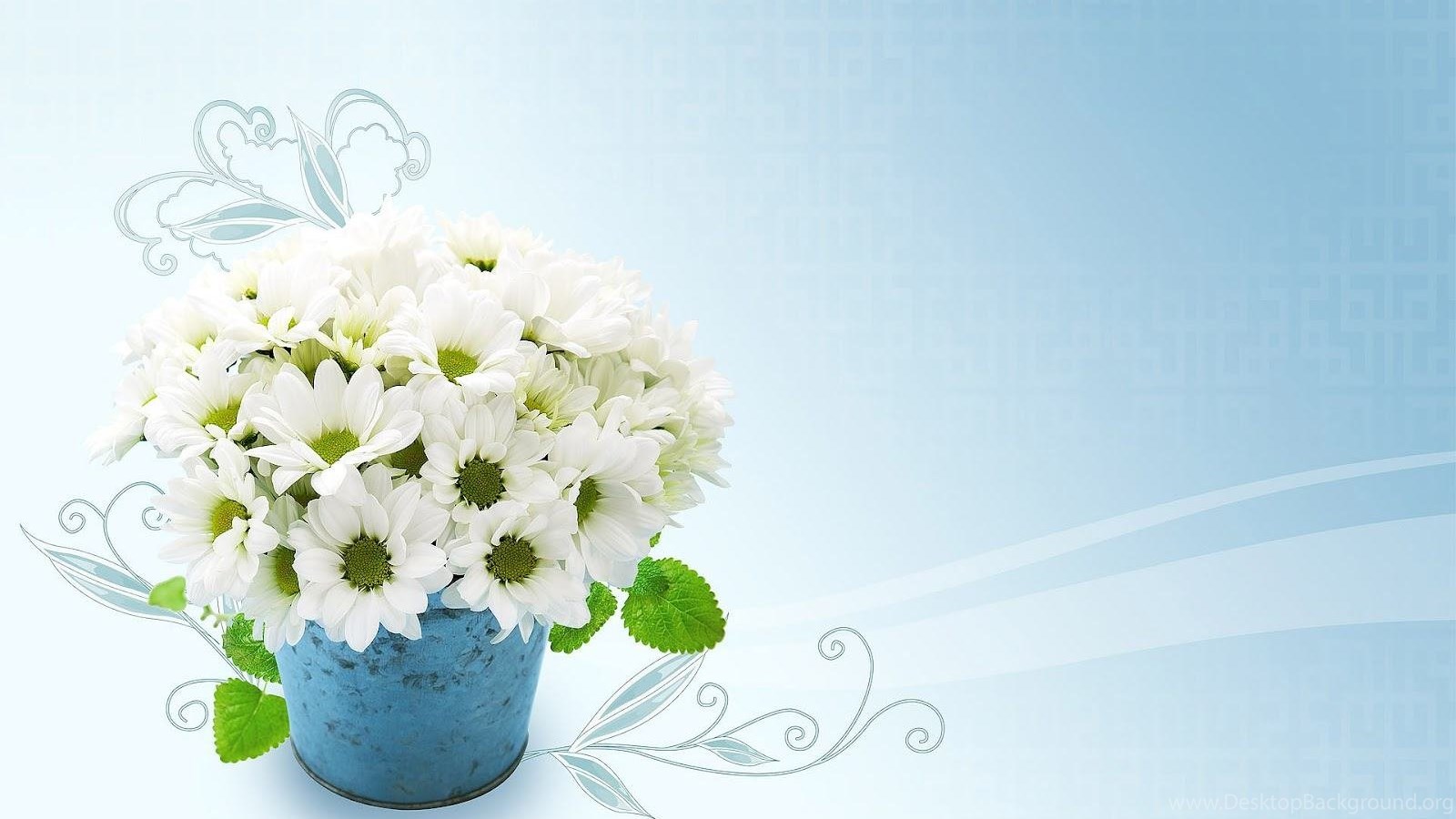 flower pot wallpapers hd wallpapers