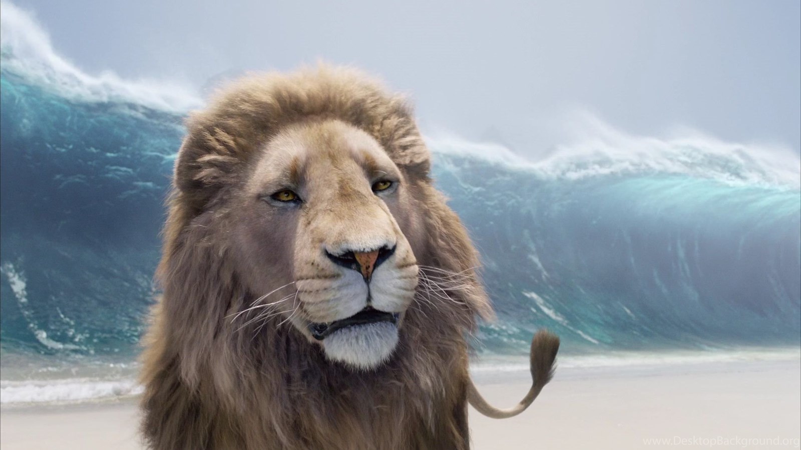 Aslan In Narnia Dawn Treader Desktop Background
