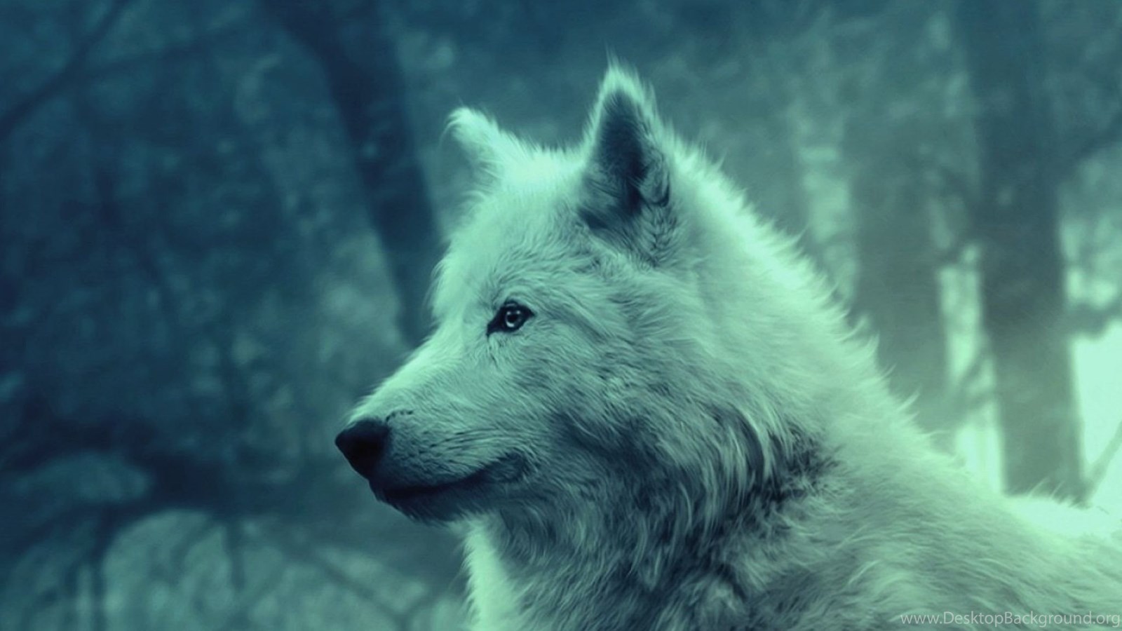 Wolf lighting