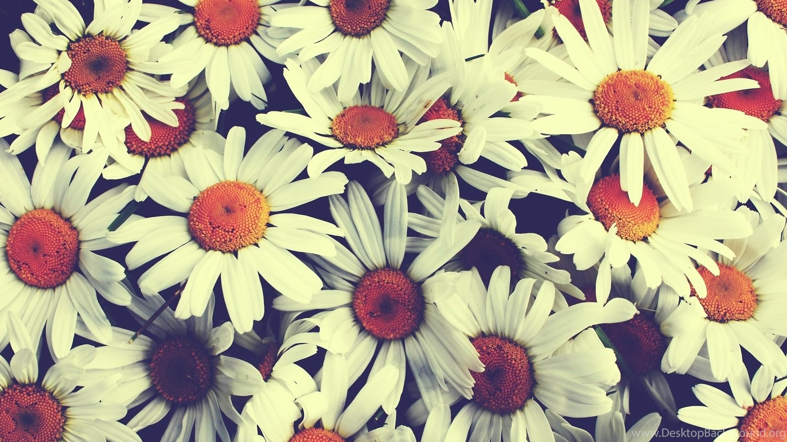 Vintage Flowers Wallpapers HD HD Wallpaper Backgrounds Of Your