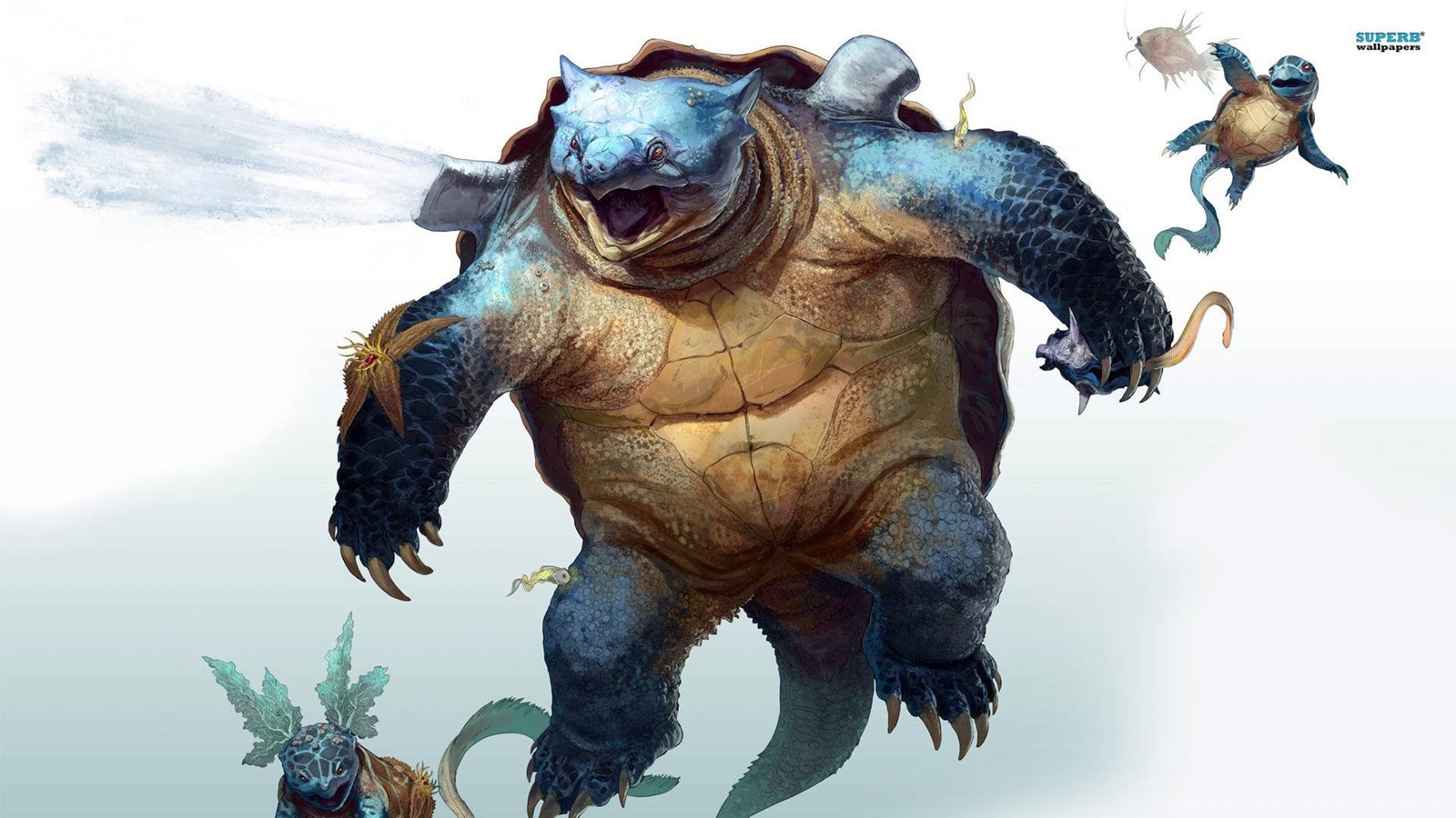 Squirtle Evolution Pokemon Wallpapers Desktop Background