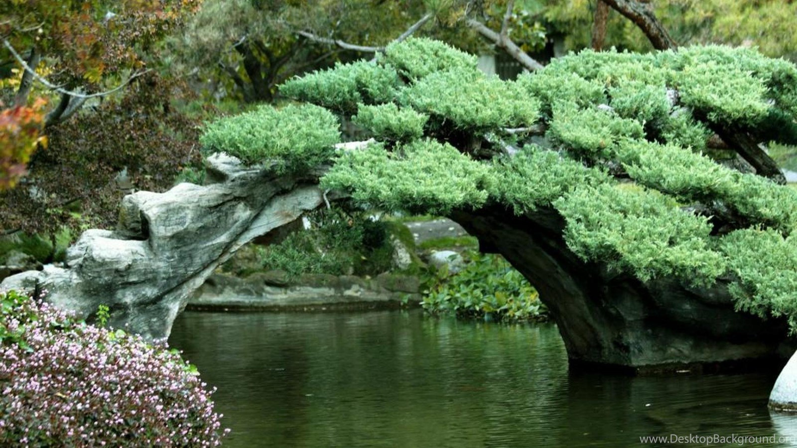 Gardens Wallpaper Japanese Garden 1920x1080px 588383 Favorite 32
