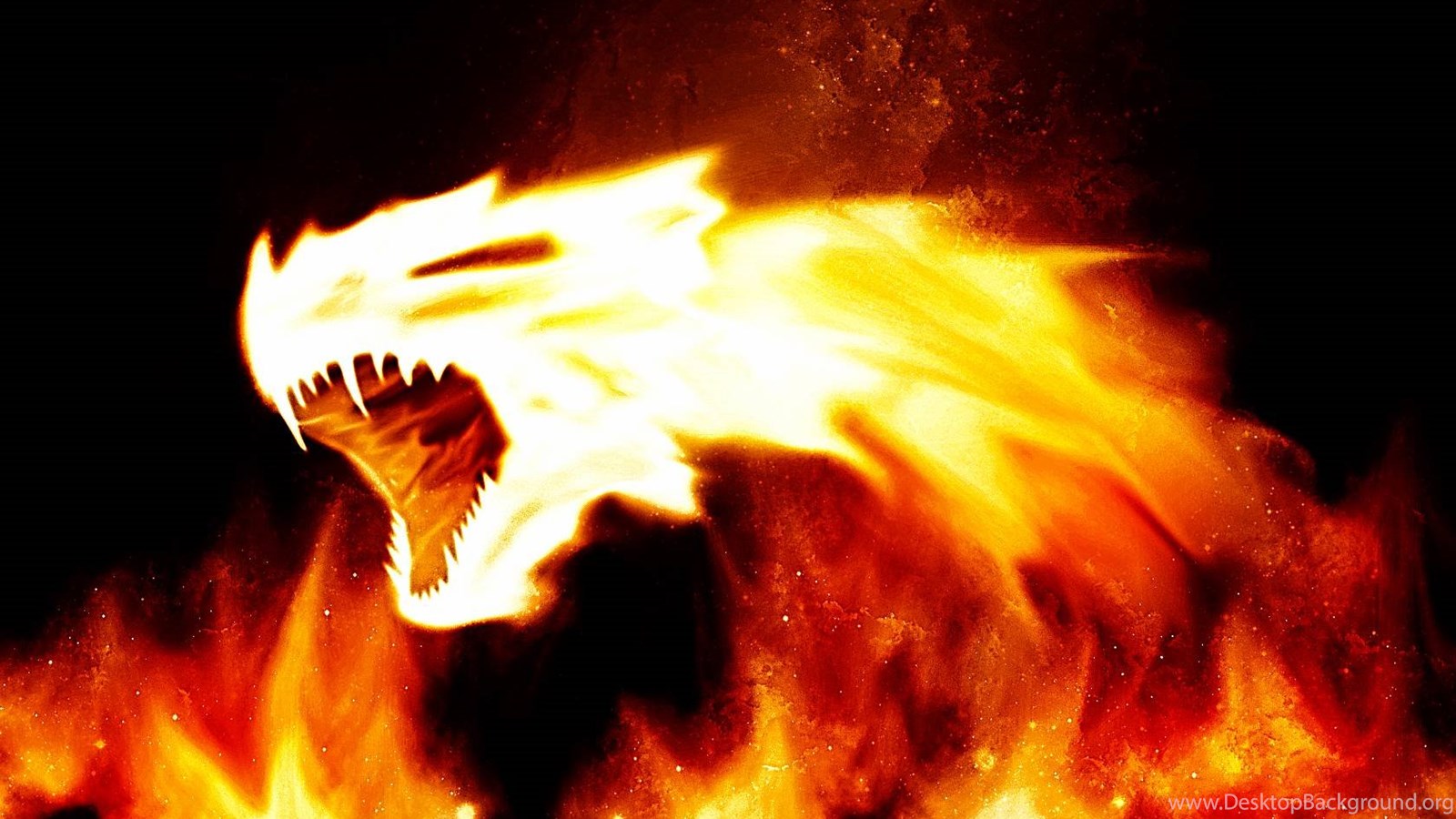 3d Wallpapers Hd Fire Animals For Desktop Backgrounds 13 ...