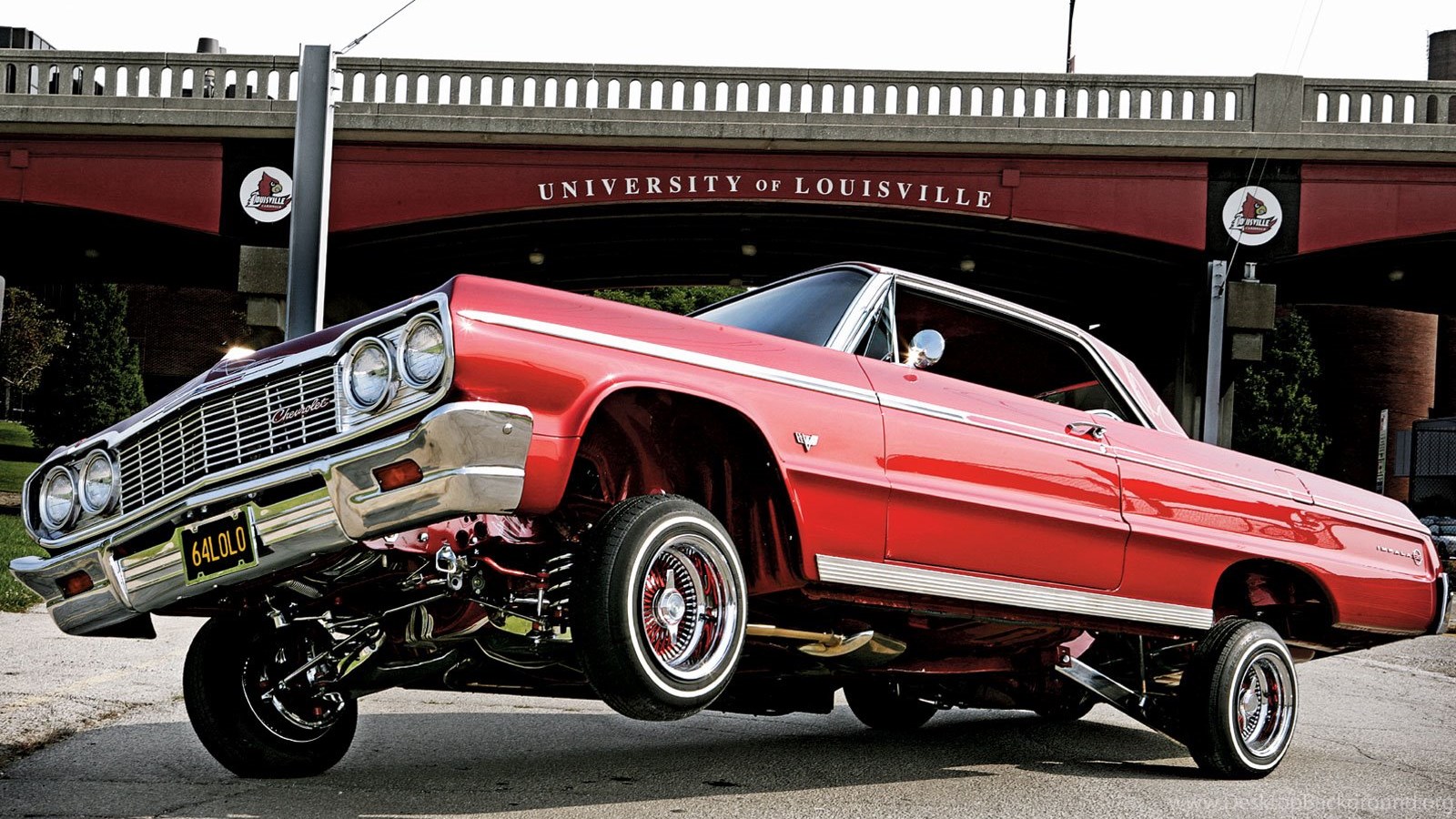 Download 1964 Chevrolet Impala Pit Bull Four Pump Set Up Lowrider Magazine ...