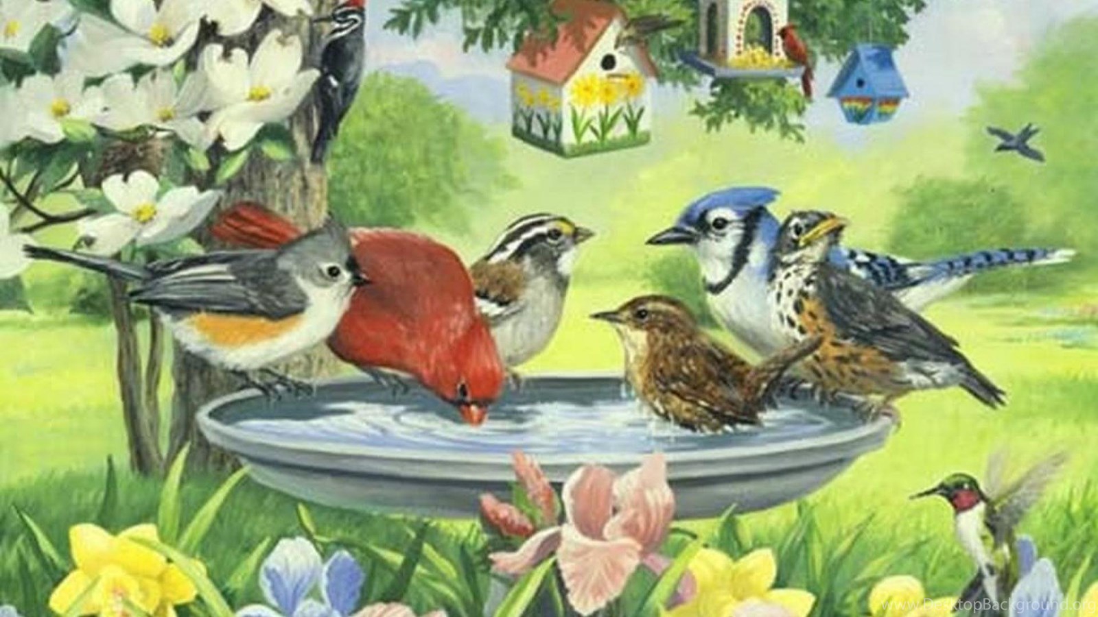 Птицы летом. Птички в саду. Птички весной для детей в детском саду.