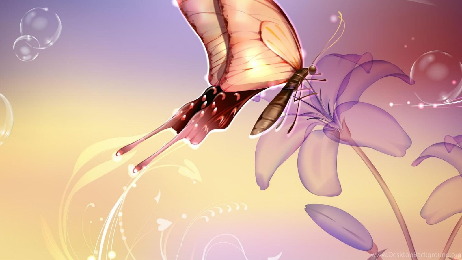 Download Wallpapers Butterfly Nature Mexico Abstract Flowers Lavender Free ...