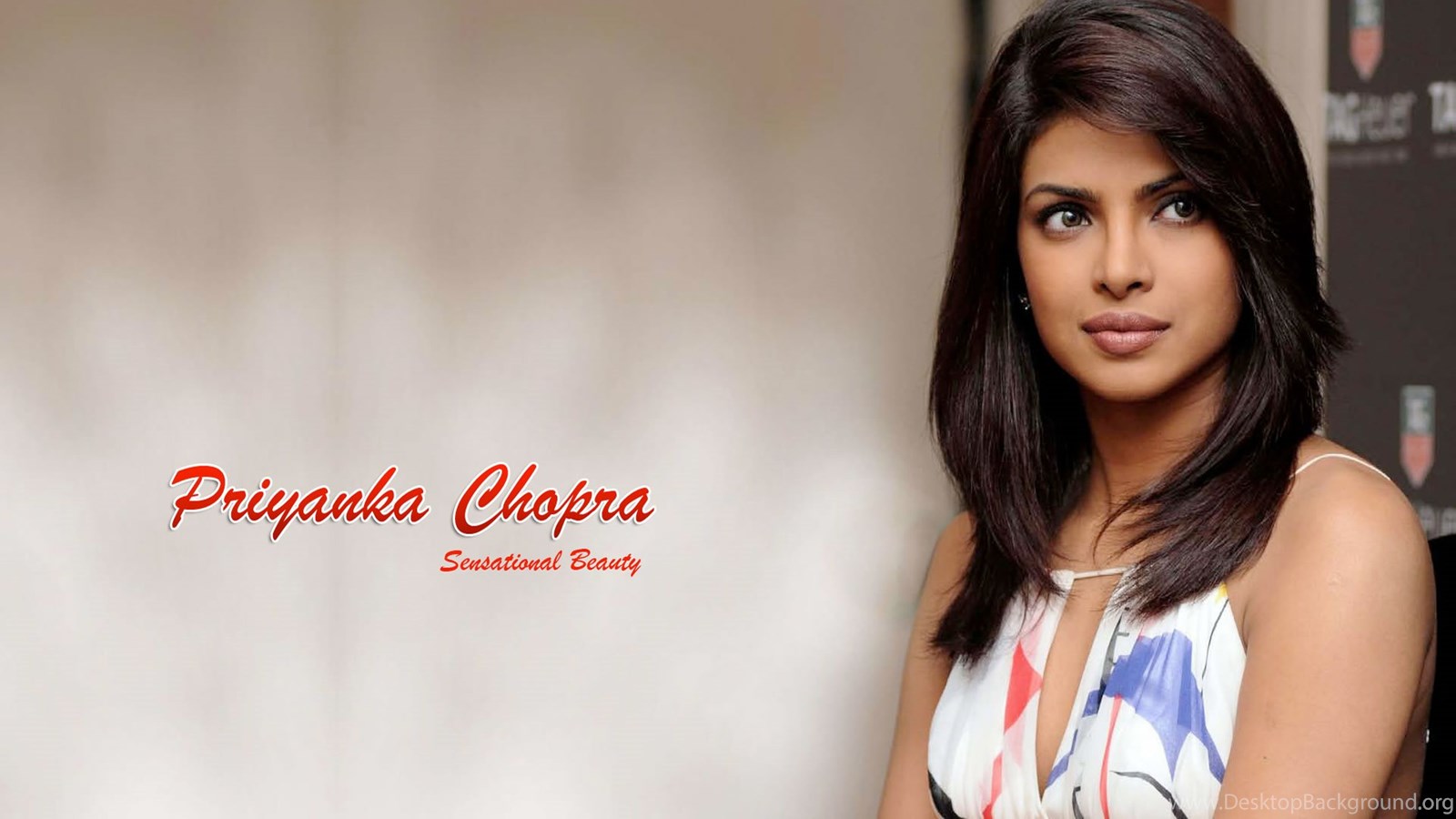 Wallpapers Jessica Clement Jung Bollywood Actress Priyanka Chopra Desktop Background