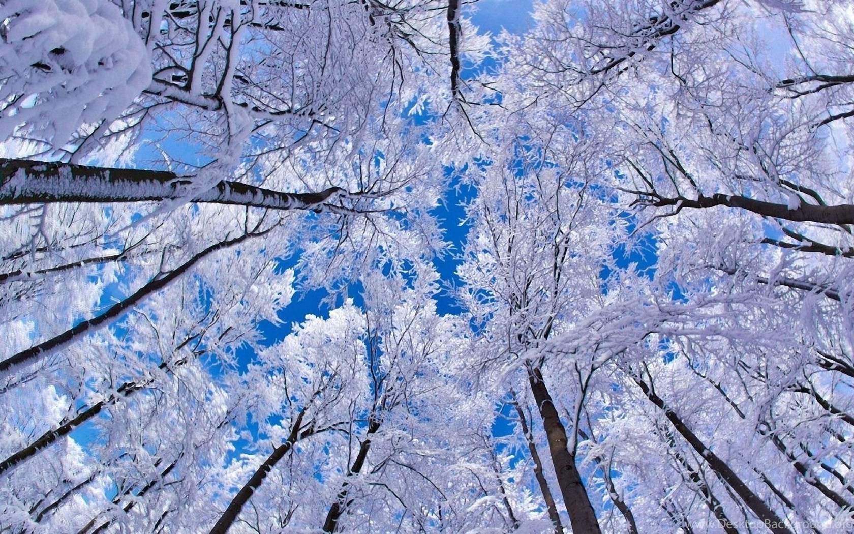 Winter backgrounds on sale hd