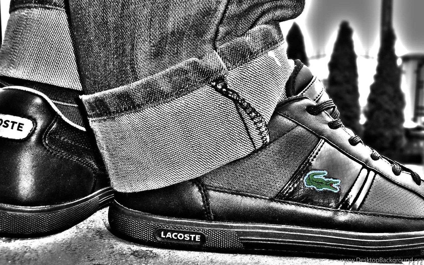 Lacoste Hd Wallpaper Get It Now Desktop Background Lacoste Hd Wallpaper Get It Now Desktop Background