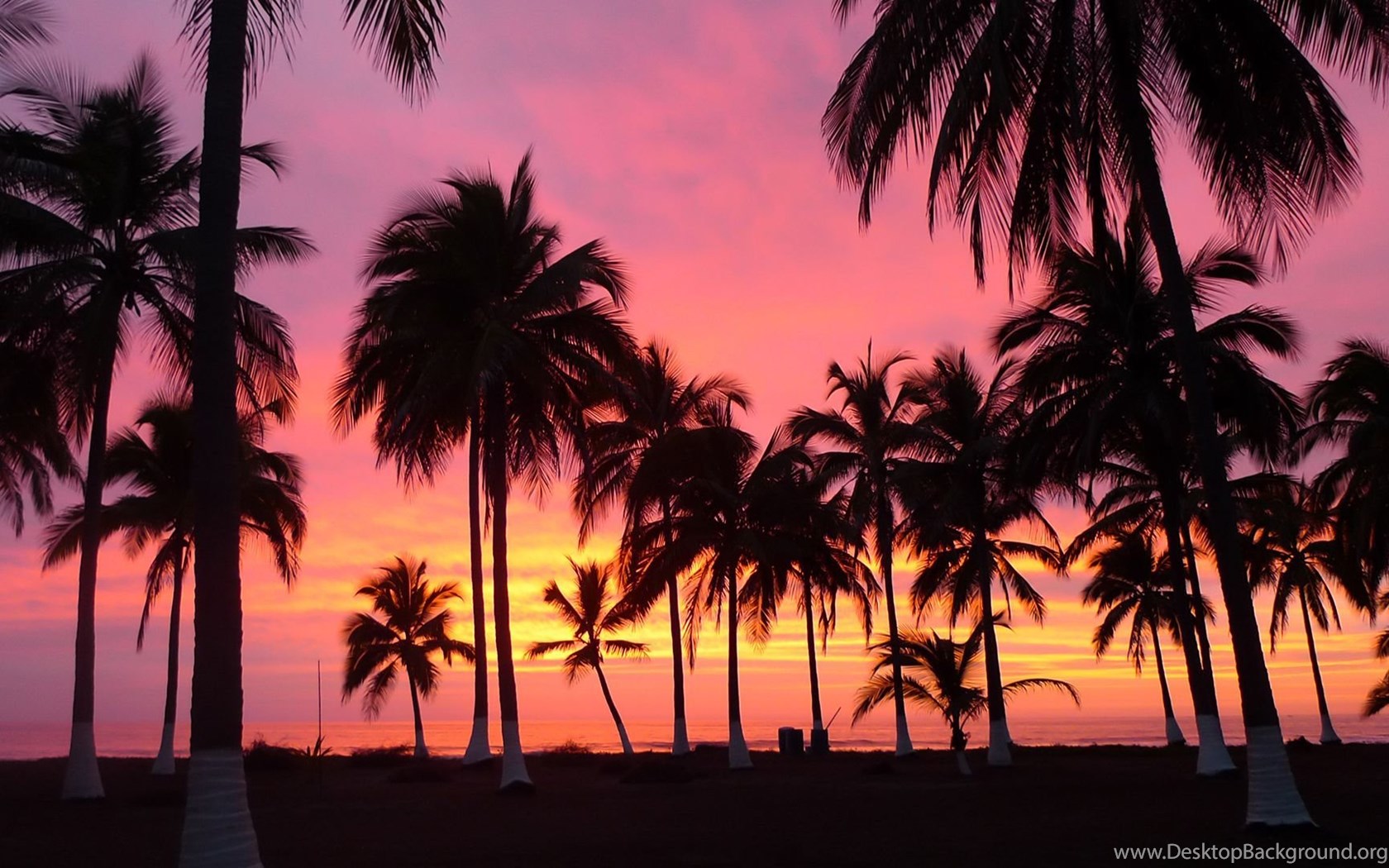Sunset Tumblr Beach Aesthetic Desktop Wallpaper - Koplo Png