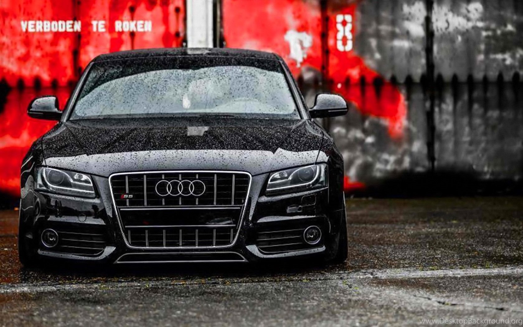 43 Audi Wallpapers Backgrounds In Hd For Free Download Desktop Background