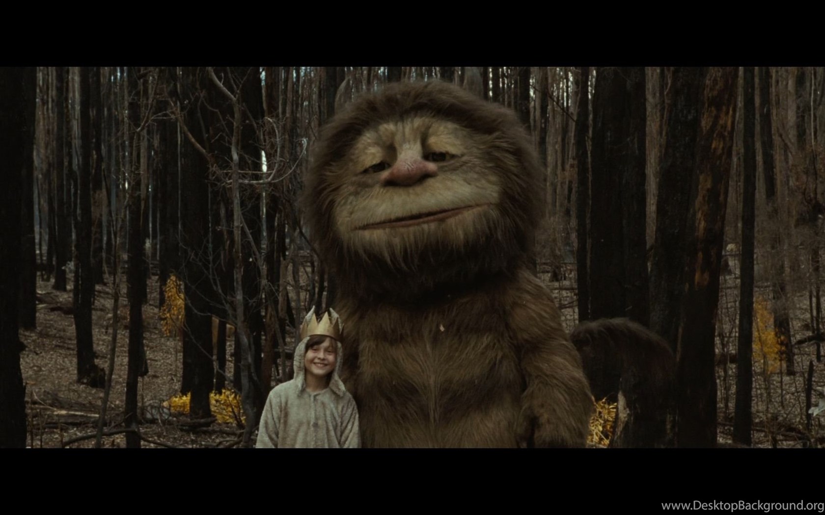Daredorm Wild Things